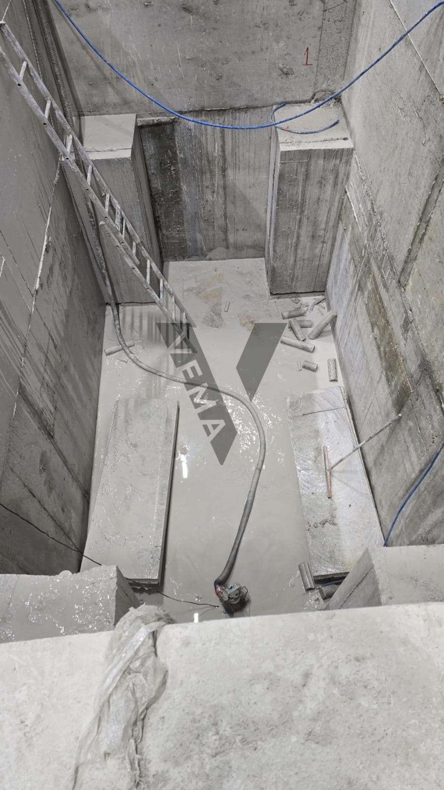Giresun Karot